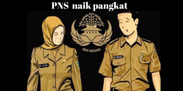 PNS bisa usul naik Pangkat!