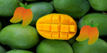 Belajar dari Manfaat Kulit Mangga