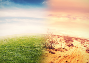 Kerusakan Fatal Akibat Pemanasan Global