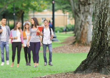 Peluang Kerja di Sinar Mas dan Beasiswa 2023,Cek di Sini!