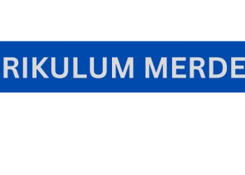 3 Cara Agar Anda Paham Tentang Kurikulum Merdeka