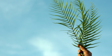 Apa Itu Minggu Palma, Bagi Umat Katolik, Cek Yuk!