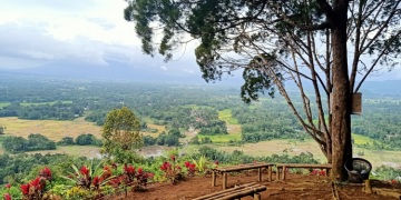 Liburan Kesini Biar Nggak Bosen dan Bisa Kamu Nikmati Saat Liburan