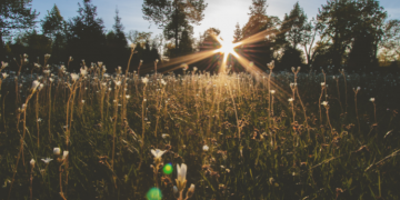 Esktrem Jam 12 Siang Hingga Jam 3 Sore Panas Banget