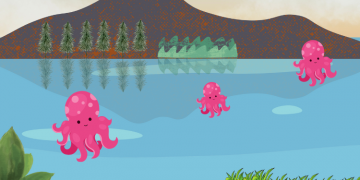 Cari Tahu Tentang Cumi Yuk!