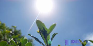 Tips Menghadapi Panas Untuk Anak-Anak, Lihat Sini!