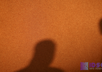 5 Trik Jitu Lolos SNBP Di Kampus Pilihanmu