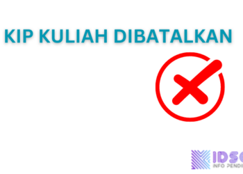 Cek Penyebab KIP Kuliah Dibatalkan Sistem