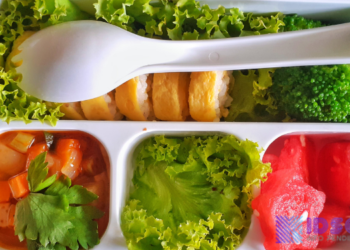 Mencegah Stunting Dengan Makanan Sehat