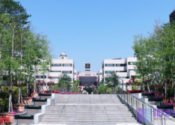 5 Universitas Top Di Korea