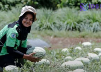 Staf Ahli Gubernur Jabar: Tefa SMK Subang Bukti Nyata Sinergi Pendidikan dan Dunia Usaha