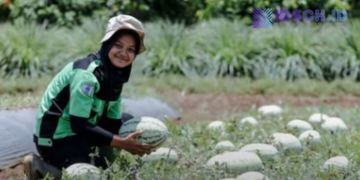 Staf Ahli Gubernur Jabar: Tefa SMK Subang Bukti Nyata Sinergi Pendidikan dan Dunia Usaha