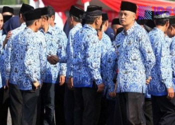 Daftar Daerah yang Tertinggal dalam Penetapan NIP PPPK Paruh Waktu 2025, Honorer Diminta Bersabar