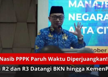 Nasib PPPK Paruh Waktu Diperjuangkan! Aliansi R2 dan R3 Datangi BKN hingga KemenPAN-RB