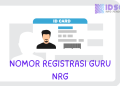 Syarat Penerbitan Nomor Registrasi Guru (NRG)