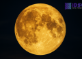 Supermoon Emas Muncul 5 November 2025 Besok