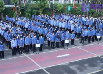 Kursi PPPK Penuh Waktu Diduga Bisa Dibeli! Honorer Paruh Waktu Wajib Lakukan Ini Jika Tak Mau Tergusur