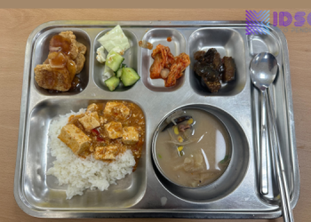 MBG Sumbang 48% Kasus Keracunan Pangan Nasional