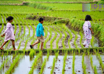 Setiap Anak Punya Waktu Bersinar: Pentingnya Tidak Membandingkan Anak dalam Proses Tumbuh Kembang