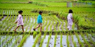 Setiap Anak Punya Waktu Bersinar: Pentingnya Tidak Membandingkan Anak dalam Proses Tumbuh Kembang