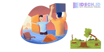 Apa itu Deforestasi Diduga Jadi Pemicu Bencana di Sumatra