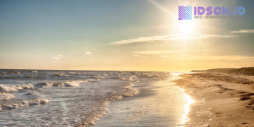 Riset Ungkap Penyebab Pantai Semakin Menyusut: Aktivitas Manusia Jadi Faktor Utama