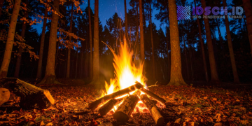 Jambore Literasi dan Numerasi 2025 Cek Tanggal dan Waktunya