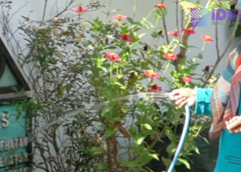 Dinas Pendidikan Gunungkidul Gelar Gerakan Jumat Bersih