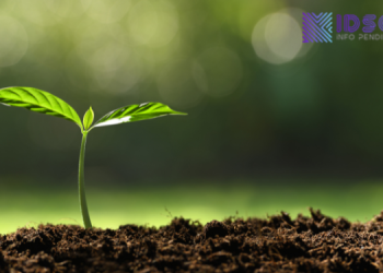 Sekolah-Sekolah Terbaik Raih Penghargaan atas Komitmen Mewujudkan Lingkungan Belajar Hijau dan Berkelanjutan