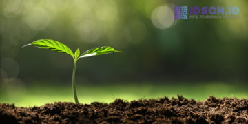 Sekolah-Sekolah Terbaik Raih Penghargaan atas Komitmen Mewujudkan Lingkungan Belajar Hijau dan Berkelanjutan