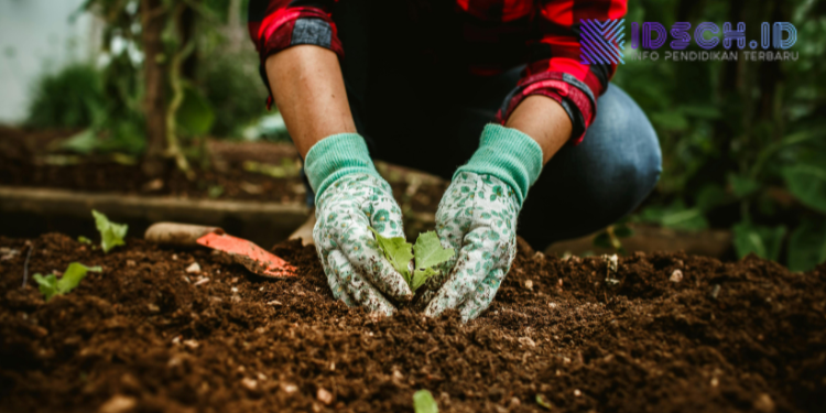 Peringati Hari Ibu 2025, Disdik Gunungkidul Siapkan Penanaman Ribuan Bibit di Sekolah