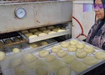 UMKM Lokal Ikut Program MBG, Usaha Cream Puff Maya Anzib Berkembang Pesat
