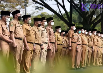 16 Instansi CPNS 2026 Wajib TOEFL! Pelamar dengan Bahasa Inggris Minus Hindari Formasi Ini