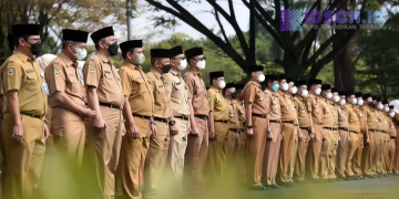 16 Instansi CPNS 2026 Wajib TOEFL! Pelamar dengan Bahasa Inggris Minus Hindari Formasi Ini