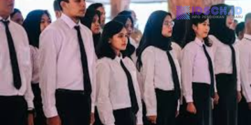 CPNS 2026 Ini Instansi dengan Pelamar Paling Sedikit