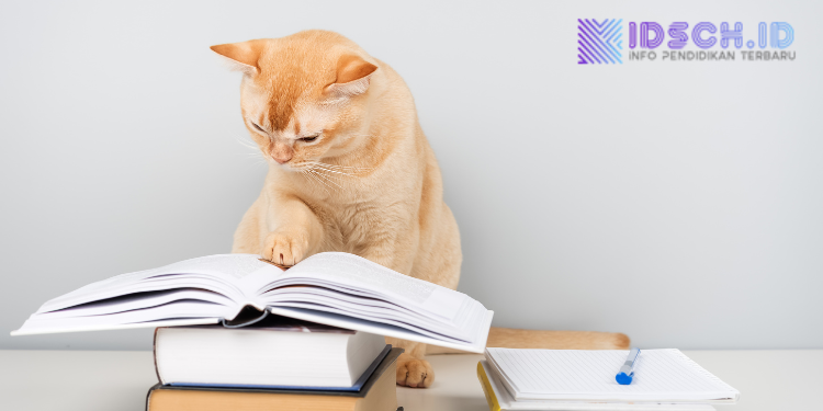 Riset Internasional Ungkap Indonesia Peringkat Teratas Negara Paling Rendah Minat Baca Buku