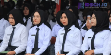 Honorer dan Pelamar Umum Cek Sekarang! Ada Perubahan di Akun SSCASN, Tanda Rekrutmen ASN 2026