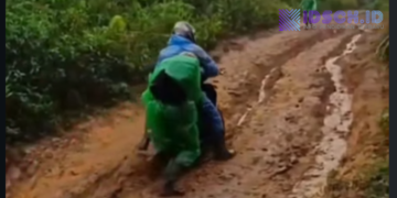 Perjuangan Guru SMPN 3 Mapat Tunggul Menembus Medan Berat Demi Pendidikan di Pelosok Pasaman