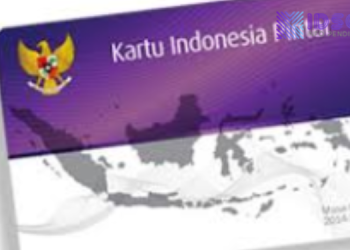 Tips Cek PIP di Website