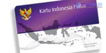 Tips Cek PIP di Website