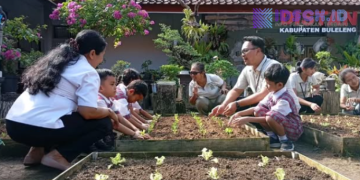 100 Siswa TK Santa Maria Buleleng Belajar Tanam Pakcoy dan Selada di Dinas Pertanian
