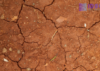 Pelajar Terjerat Narkoba, Gubernur Jateng Minta Penanganan Lebih Agresif di Semarang dan Solo