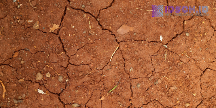 Pelajar Terjerat Narkoba, Gubernur Jateng Minta Penanganan Lebih Agresif di Semarang dan Solo